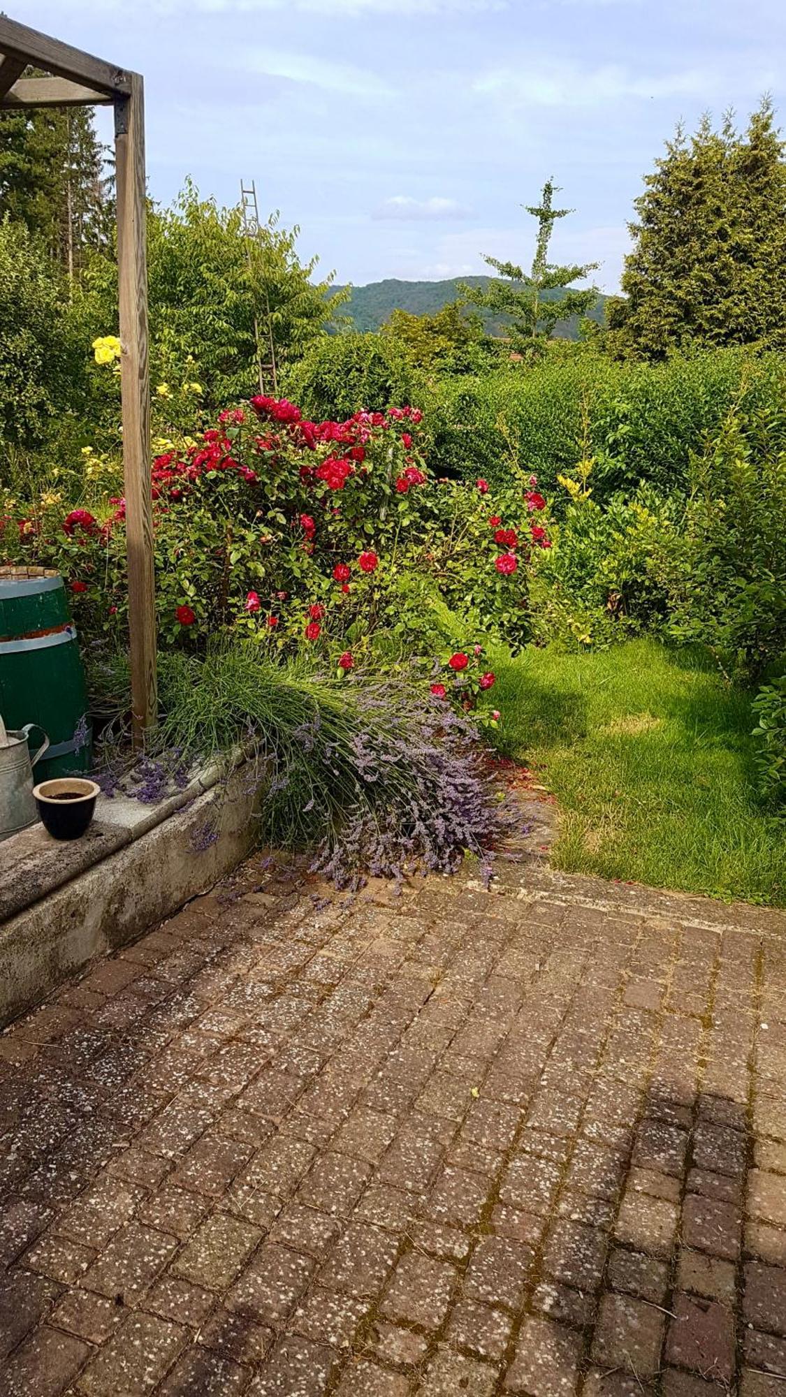 Ferienwohnung Kespergarten Witzenhausen Eksteriør bilde