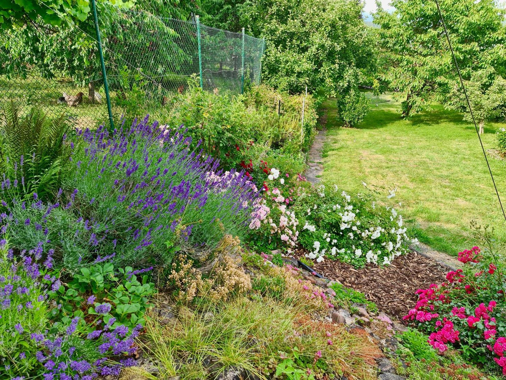 Ferienwohnung Kespergarten Witzenhausen Eksteriør bilde